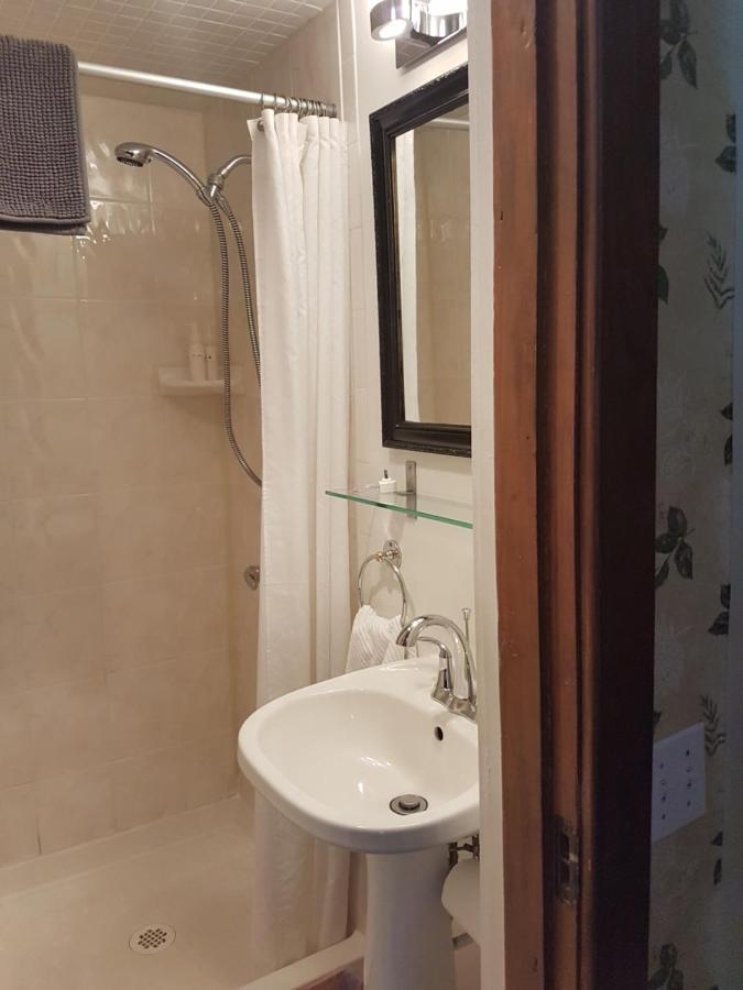 Homestead House B&B ハミルトン エクステリア 写真
