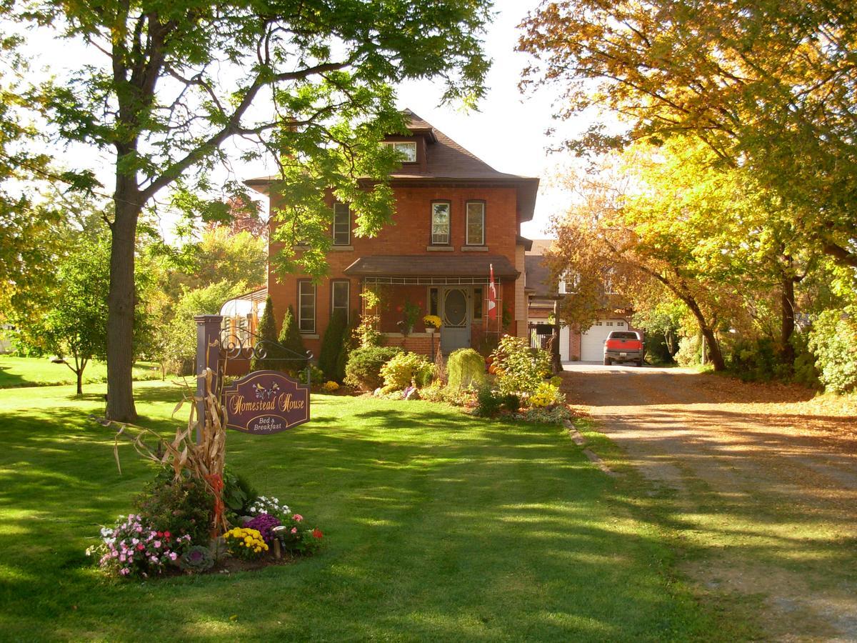 Homestead House B&B ハミルトン エクステリア 写真